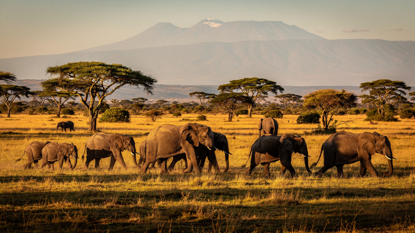 Queen Elizabeth National Park safari
